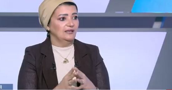 همت سلامة: مصر عززت حضورها الدولى عبر قمة السبع