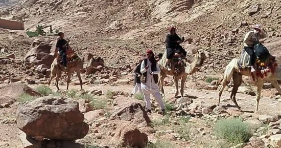 سانت كاترين تستقبل 207 سائحين لزيارة دير سانت كاترين وجبل موسى