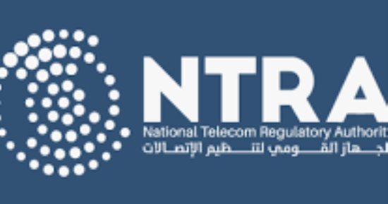بصمة الوجه بدلا من الرقم القومي.. كل ما تريد معرفته عن عودة خدمة "أرقامي"