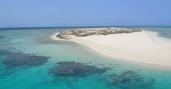 جزيرة شواريت جوهرة البحر الأحمر .. درة طبيعية تتلألأ جنوب مرسى علم 