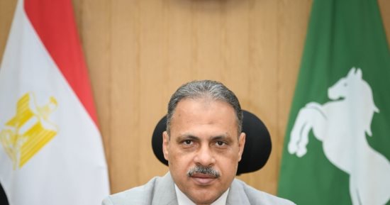 إزالة 1465 حالة تعد بالبناء على الأراضى الزراعية وأملاك الدولة فى الشرقية