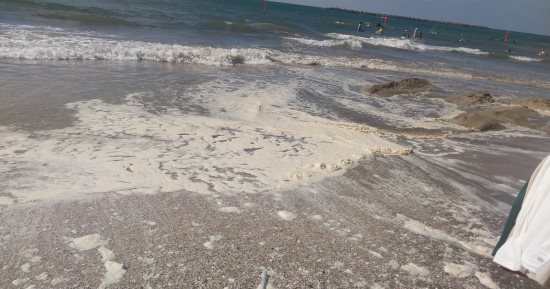 أول أيام الصيف رسميا.. ظهور زبد البحر فى شواطئ رأس البر تخطف أنظار الزوار