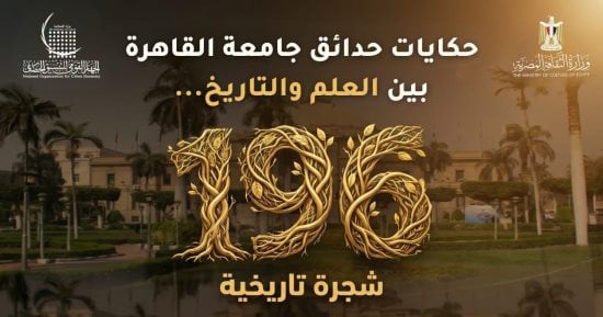 التنسيق الحضارى يوثق 196 شجرة تاريخية بجامعة القاهرة.. اعرف تفاصيل