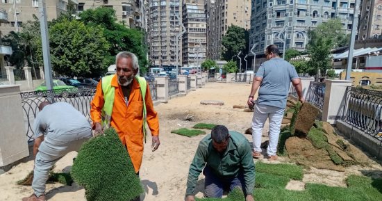 زراعة أحواض الجزيرة الوسطى بشارع الحجاز فى العجوزة لتحسين المظهر العام.. صور