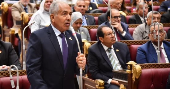 وكيل مجلس الشيوخ: تعديل قانون الشركات ضرورة لمواكبة التطورات الاقتصادية