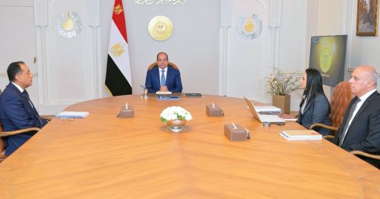 الرئيس السيسى: ضرورة تقديم كافة أوجه الرعاية داخل الأسر البديلة الكافلة