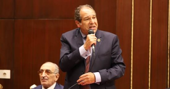 حسام الخولى: دعم الصناعة وتوطينها عامل حيوى للتوازن بين الصادرات والواردات