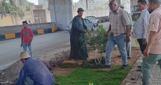 زراعة أحواض الزهور بشارع مشرفة ببولاق الدكرور ضمن تحسين المظهر الحضارى.. صور