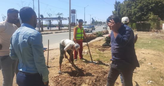 محافظ أسيوط: استمرار أعمال رفع كفاءة حديقة صينية الوليدية بحي شرق