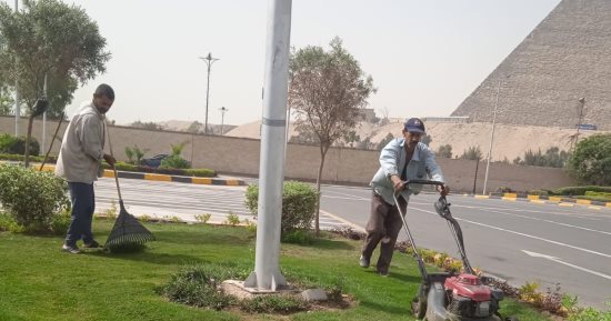 رفع كفاءة المسطحات الخضراء بمحيط الأهرامات لتحسين المشهد الحضارى.. صور