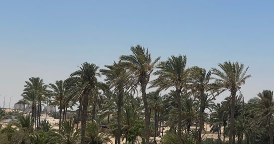 ارتفاع طفيف فى درجات الحرارة واستقرار الأحوال الجوية بمدن شمال سيناء