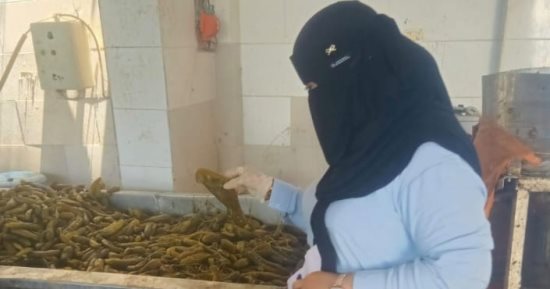 ضبط 10.4 طن مخللات مجهولة المصدر داخل مصنع غير مرخص بالقصاصين في الإسماعيلية