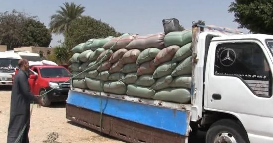 محافظ سوهاج: استلام 186 ألف طن من محصول القمح وتوريدها إلى الشون والصوامع