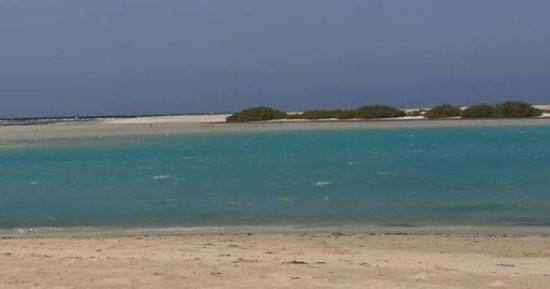 تعرف على أهم المعالم البيئة فى مدينة مرسى علم جنوب البحر الأحمر.. صور