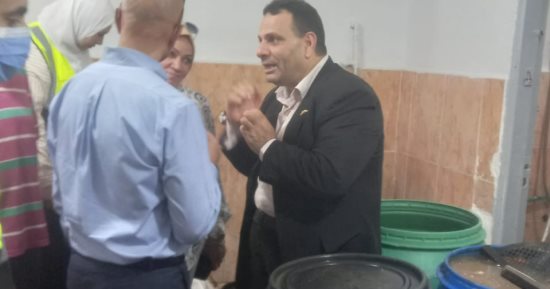 ضبط أكثر من 29 طنا من الأغذية واللحوم والدواجن الفاسدة بالإسكندرية