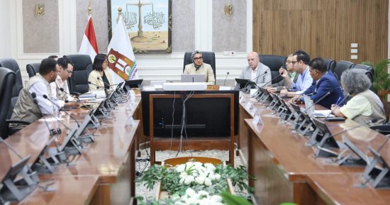 محافظ الوادي الجديد تبحث مع وفد الفاو تنفيذ مشروعات زراعية للشباب