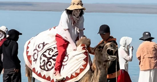 غضب واسع بعد إجبار جمل مُنهك على حمل سائحة فى الصين