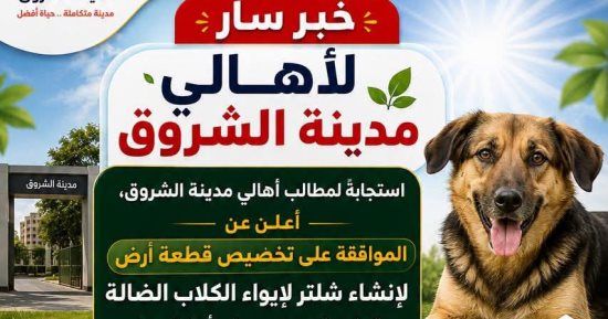 رئيس جهاز مدينة الشروق يعلن تخصيص أرض لأول شلتر لإيواء الكلاب الضالة
