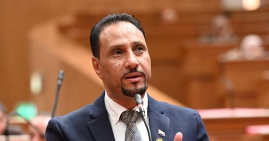 جرجس لاوندي: 30 يونيو أعادت القرار الوطني للمصريين ورسخت دولة المؤسسات