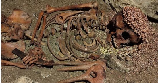 عناية طبية وطقوس جنائزية قبل 27 ألف عام.. قصة أمير نجا من هجوم دب