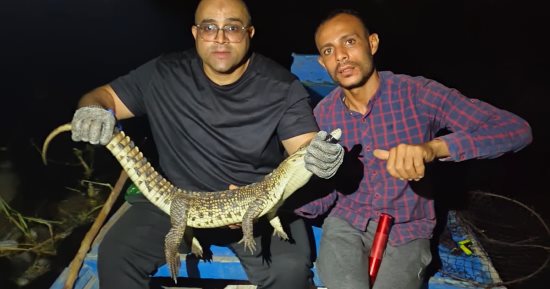 3 حاجات لا تفعلها إذا واجهت تمساحاً أو "ورلاً نيلياً" في مجرى مائي