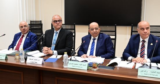 محافظ الإسكندرية: وقف تراخيص البناء أنقذ المحافظة.. ولم نصل إلى 50 محلا مرخصا