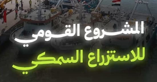 من 30 يونيو للاستزراع السمكي.. اليوم السابع توثق بالـ AI ملحمة تنمية الثروة السمكية