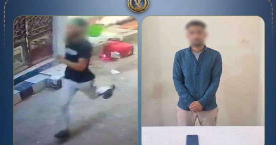 ضبط المتهم بسرقة هاتف سيدة بأسلوب الخطف فى البحيرة.. فيديو  