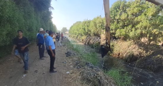 انتهاء أول أيام البحث عن تمساح شبرامنت بالجيزة دون العثور عليه.. تفاصيل