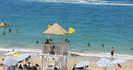 محافظة الإسكندرية تطرح حق استغلال 4 شواطئ بنظام المزايده العلنيه