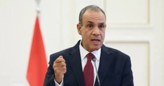 وزير الخارجية بمؤتمر المصريين فى الخارج: لا أمن أو استقرار بالمنطقة بدون الحل العادل للقضية الفلسطينية