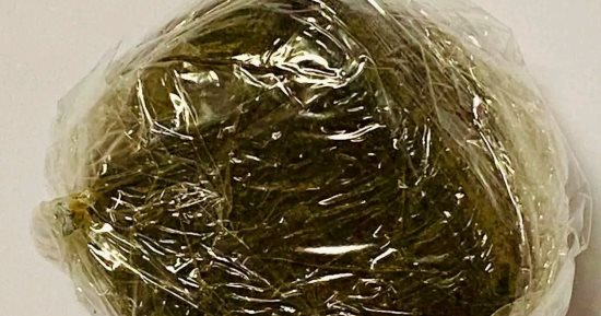 جمارك مطار الغردقة تضبط كمية من مخدر الحشيش