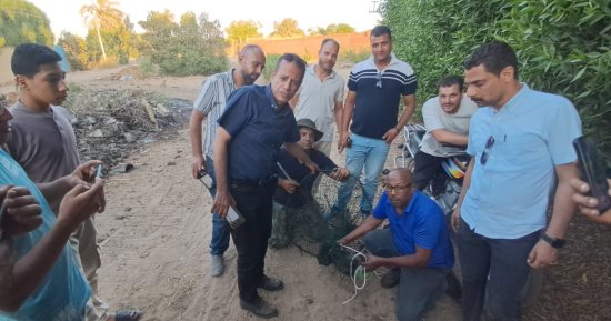 لحظة الإمساك بتمساح شبرامنت فى الجيزة بعد يومين من البحث.. فيديو