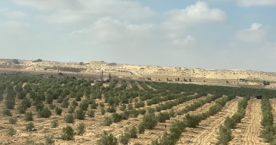 حالة الطقس فى شمال سيناء اليوم.. أجواء معتدلة واستقرار الأحوال الجوية