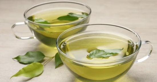 خليك فى الشاى الأخضر.. يحتوى على الكاتيكينات لتخفيف الإجهاد والالتهابات