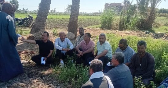 جهود "زراعة الفيوم" لتنمية القطاع وزيادة إنتاجية المحاصيل.. تفاصيل