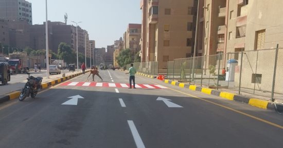 محافظة الجيزة تعلن تطوير ورصف شارع الكيلانى بحي المنيرة الغربية
