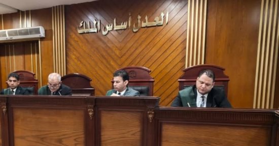 السجن المؤبد لمقاول وتباع وتغريمهما 500 ألف جنيه لحيازتهما الحشيش