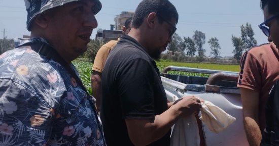 ذعر فى الشرقية.. وفاة سيدة وطفلين وإصابة 10 أشخاص بلدغات الثعابين فى منيا القمح .. وفريق من تمشيط المصارف والزراعات بقرية القراقرة..  فرق طبية للتعامل مع أى إصابات.. والبيئة تكشف تفاصيل وأسباب ظهورها 