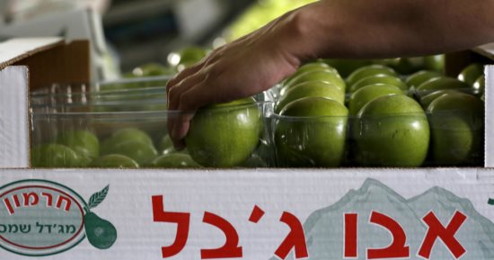 البرلمان الإيرلندي يقر قانوناً يحظر استيراد بضائع المستوطنات الإسرائيلية