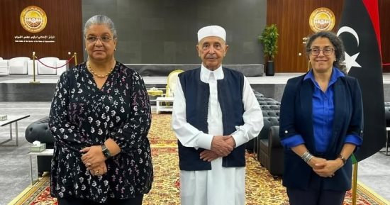 رئيس البرلمان الليبي يبحث مع مبعوثة أممية تطورات العملية السياسية فى البلاد