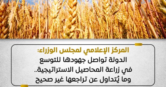 مجلس الوزراء: الدولة تواصل جهودها للتوسع في زراعة المحاصيل الاستراتيجية
