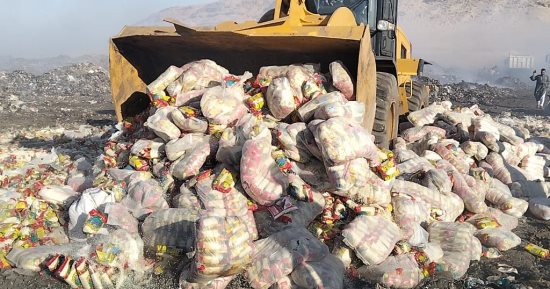 محافظ سوهاج: إعدام 39 طن أرز وسكر فاسد بالجبل الغربى