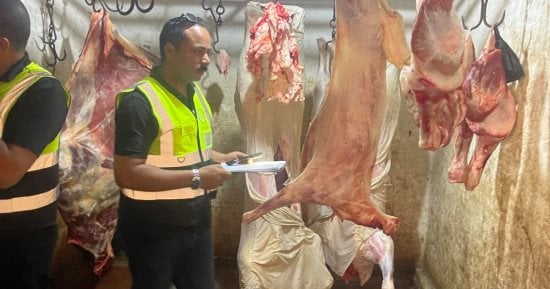 هيئة سلامة الغذاء بالدقهلية تضبط أكثر من طن لحوم وذبائح مخالفة