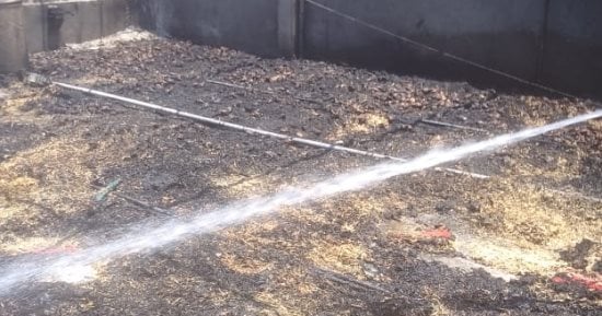 حريق يلتهم 2000 فرخة داخل مزرعة بأبوصوير فى الإسماعيلية