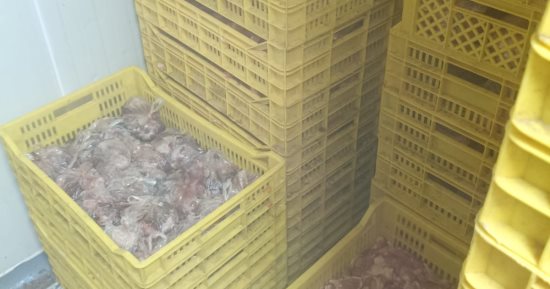 ضبط 12 طن مواد غذائية غير صالحة للاستهلاك خلال حملات رقابية بالبحيرة
