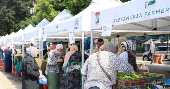 سوق اليوم الواحد بالإسكندرية.. يجذب آلاف المواطنين والمحافظة تواصل تنظيمه أسبوعيًا