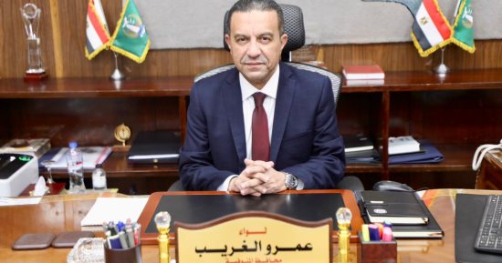 محافظ المنوفية: ضبط 20 طن مواد غذائية مجمدة منتهية الصلاحية