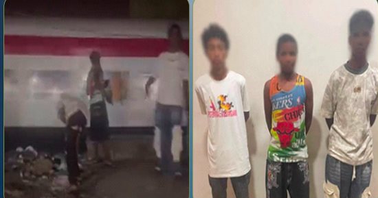 ضبط أطفال لإلقاء الحجارة على قطار بأسوان بقصد اللهو.. فيديو