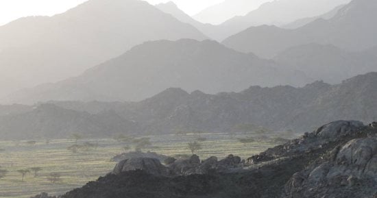صورة الخبر